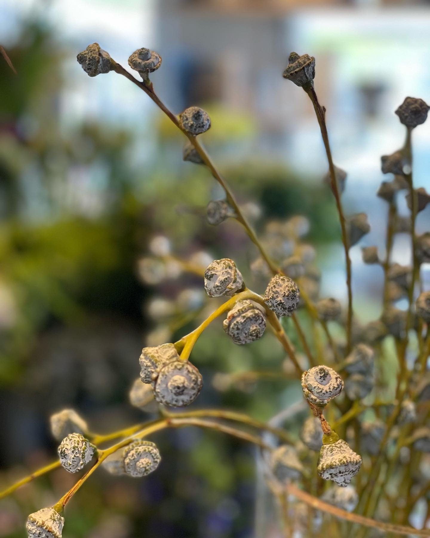 Smukke buketter fra blomsterbutik i Vestbjerg ved Aalborg